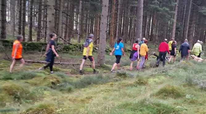 AH3 Run 2244 - Brathens - Hares: Redstripe