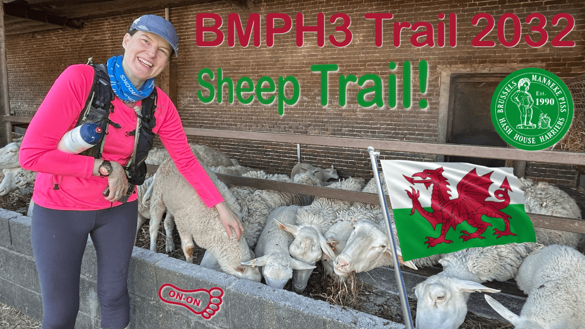 Trail #2032 - Wales Day / Sheep Trail!