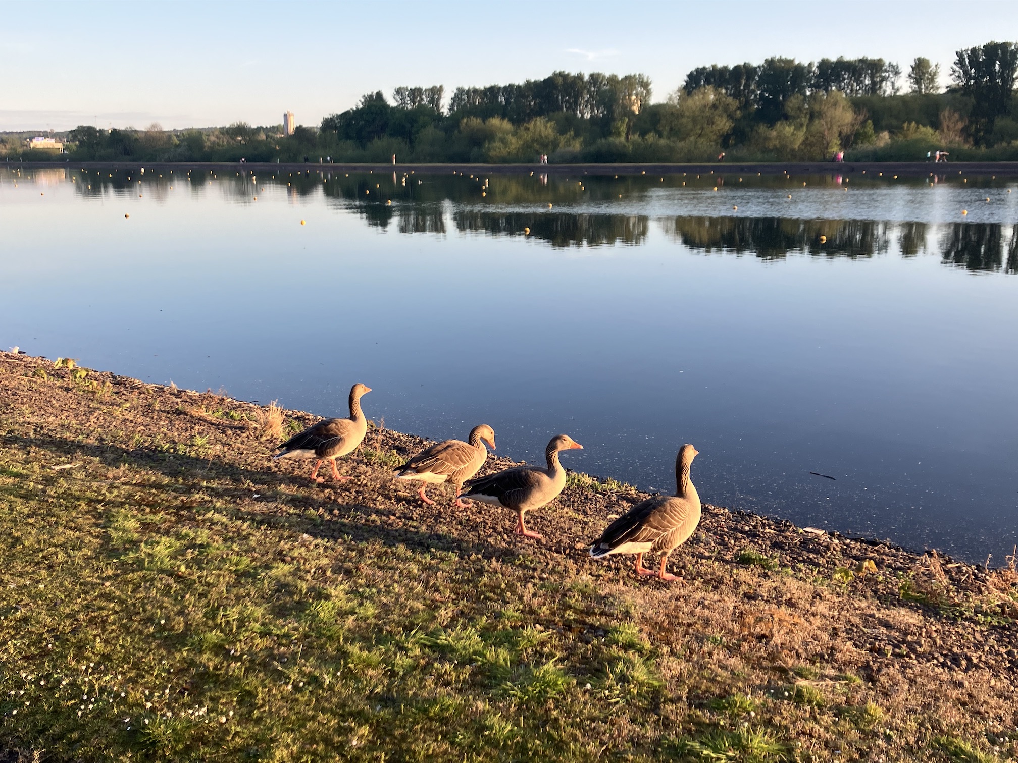 Run 2221 - Strathclyde Park