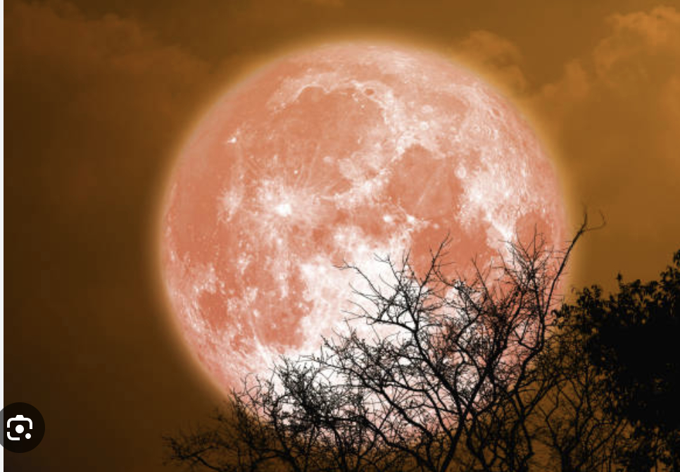 Sembach Hash Trail 1249 (Full Moon)