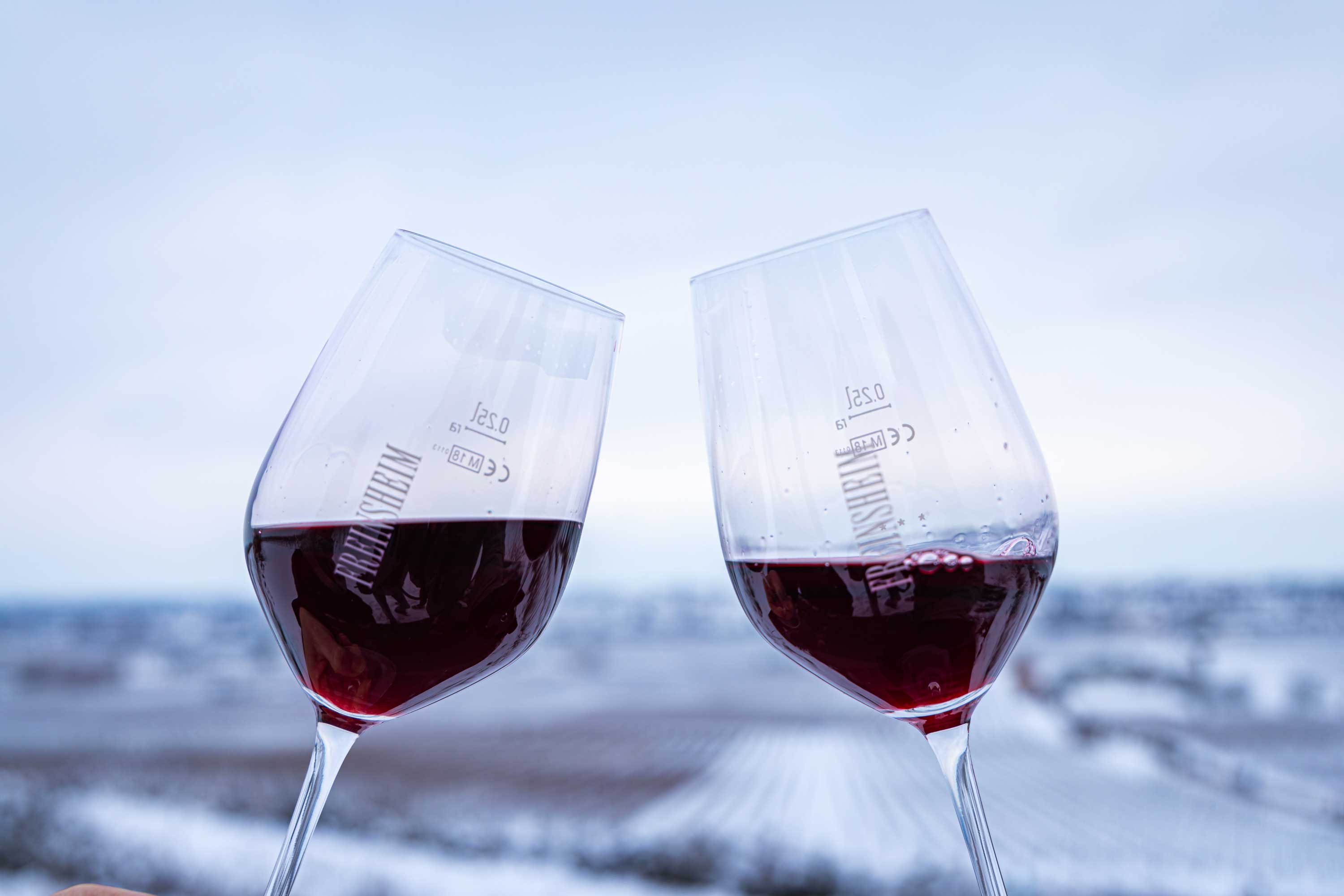 Sembach Hash Trail 1270 – Winter Wein Hike