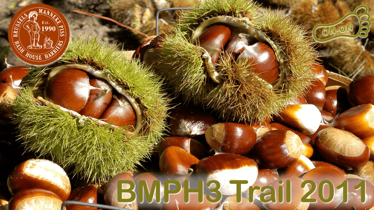 BMPH3 Trail #2011 - Get orff moy laaaand!